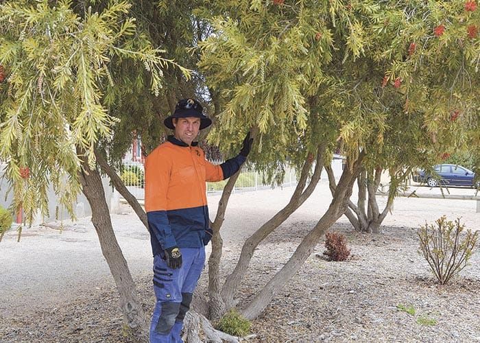 Turning over a new leaf with policy post image