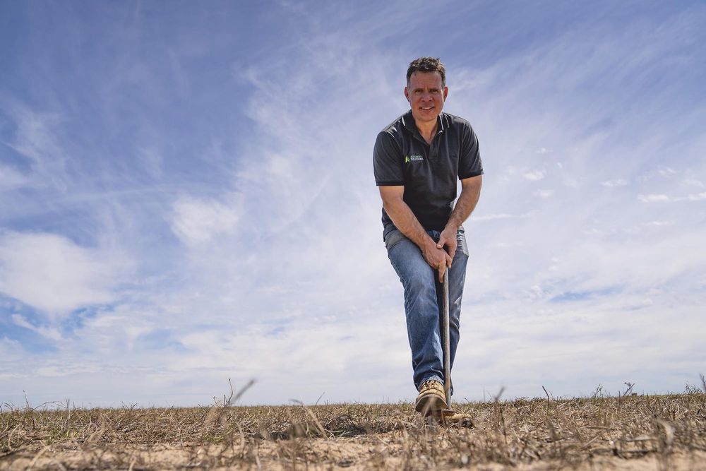 Paddock zones could boost P returns post image