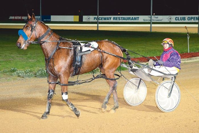 YP Harness Racing Club news post image