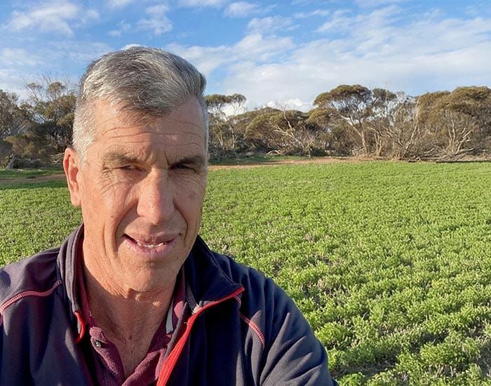 YP grower joins GRDC Panel post image