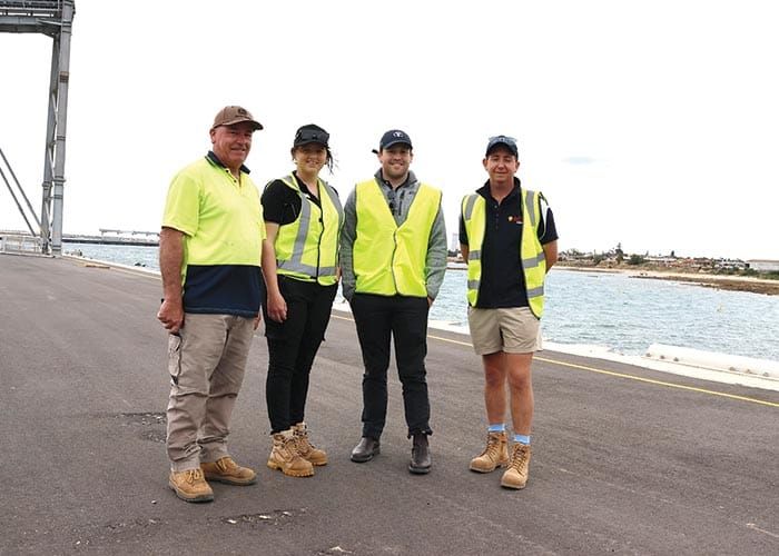 New YP options for lentils post image