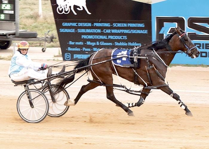 YP harness racing news post image