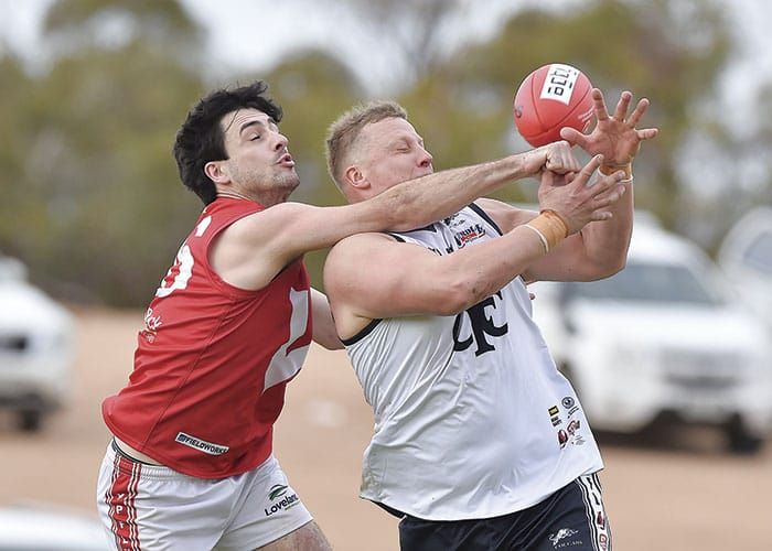 YPFL: Cougars too good in the Roosters’ coop post image