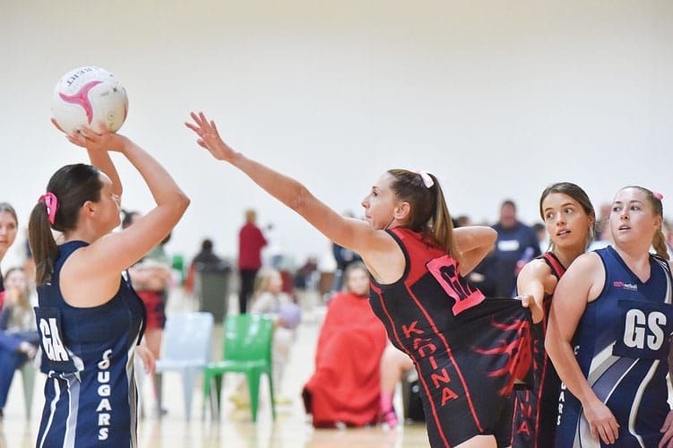 Netball: YPNA scores and reports post image
