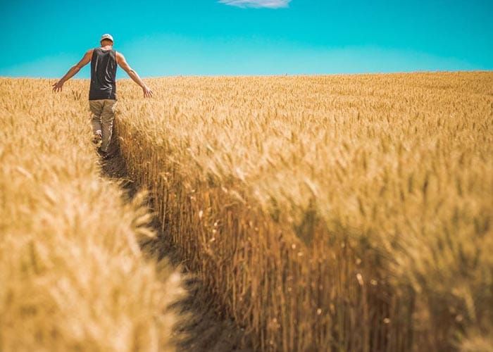 Weather extremes offer reasons to diversify post image