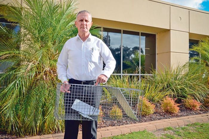 Concerns over cat trap hire post image