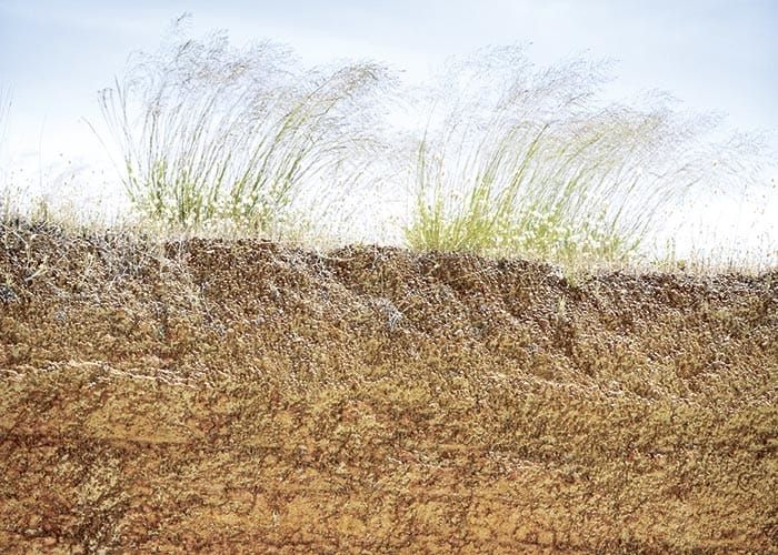 Digital ag innovations map soil constraints post image