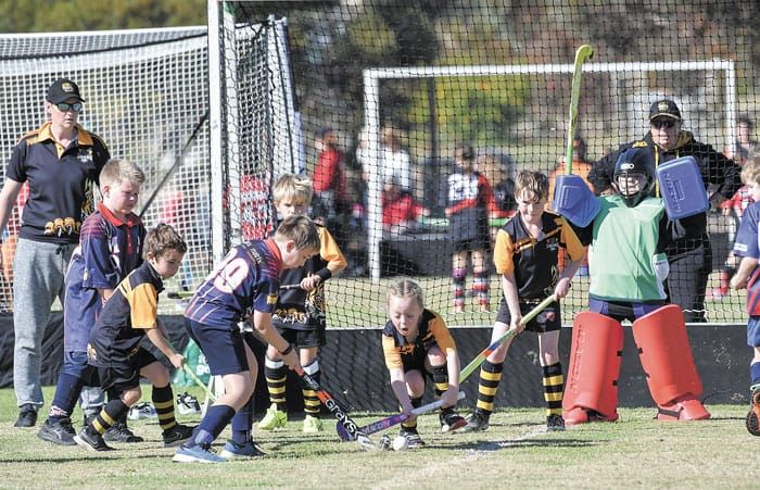 YP hockey scores and reports post image