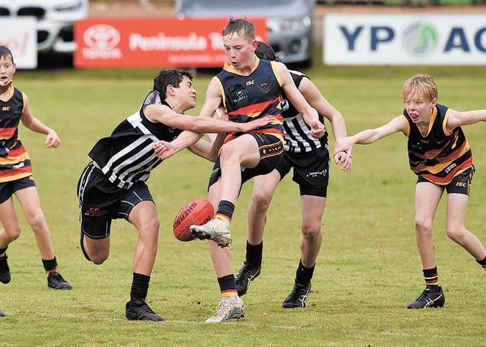 Crows in cruise control against Magpies post image