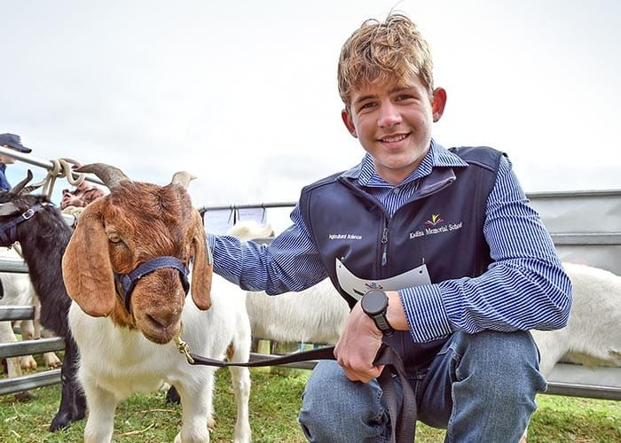 Kidding around on the Copper Coast post image