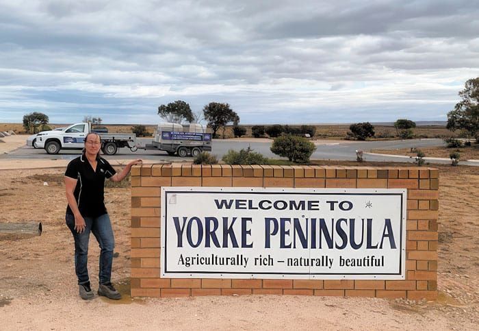 Steeped in Aussie wool post image