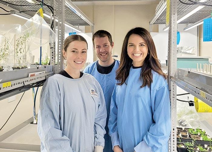 Failed antibiotics now weed killers post image