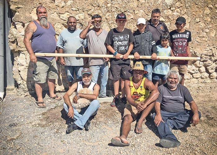 Project to protect Gynburra species post image