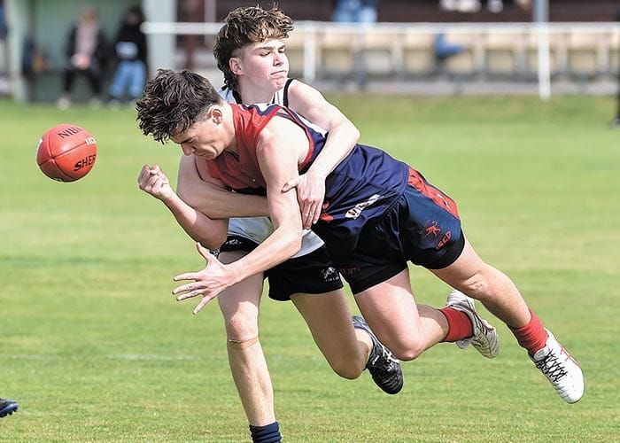 Cougars claw Demons post image