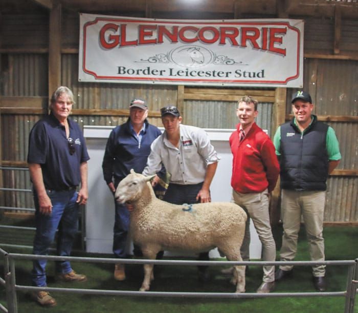 Glencorrie sells ram for $22,500 post image