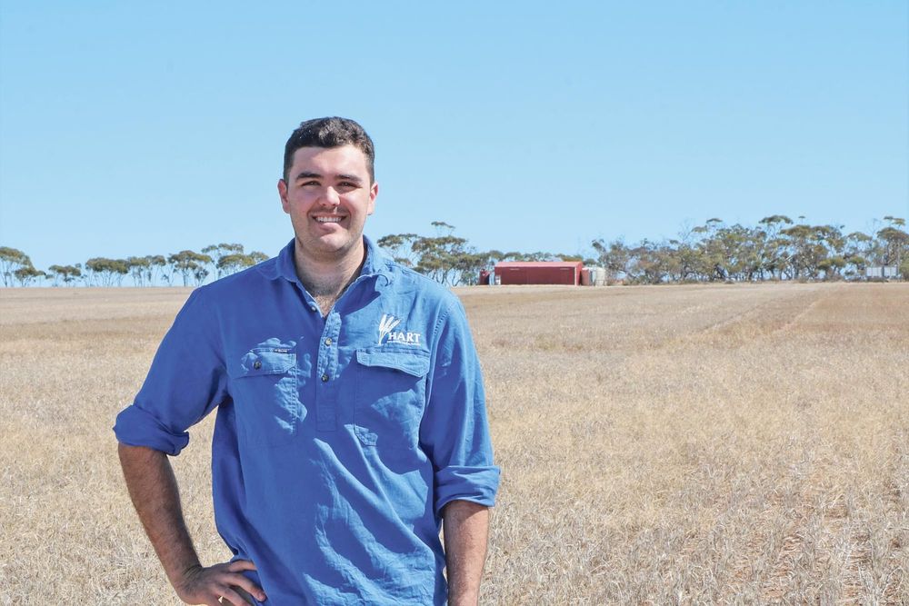 Hart regional internship plants the seed for careers in grains research post image