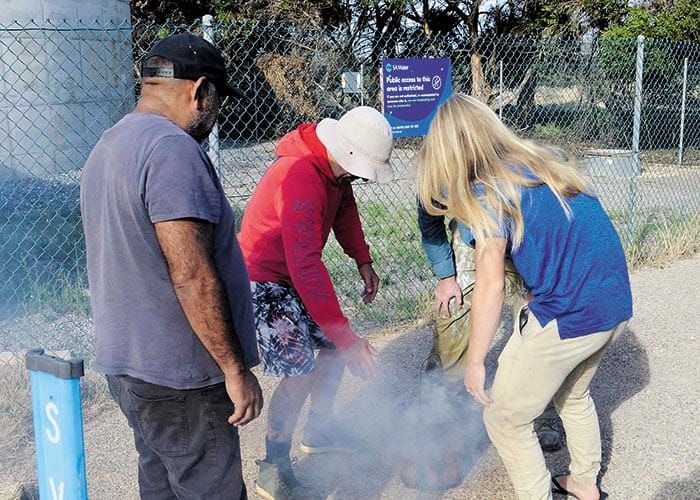 Wool Bay and Minlacowie tank murals begin post image