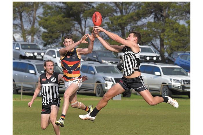 YPFL: Crows survive comeback scare post image