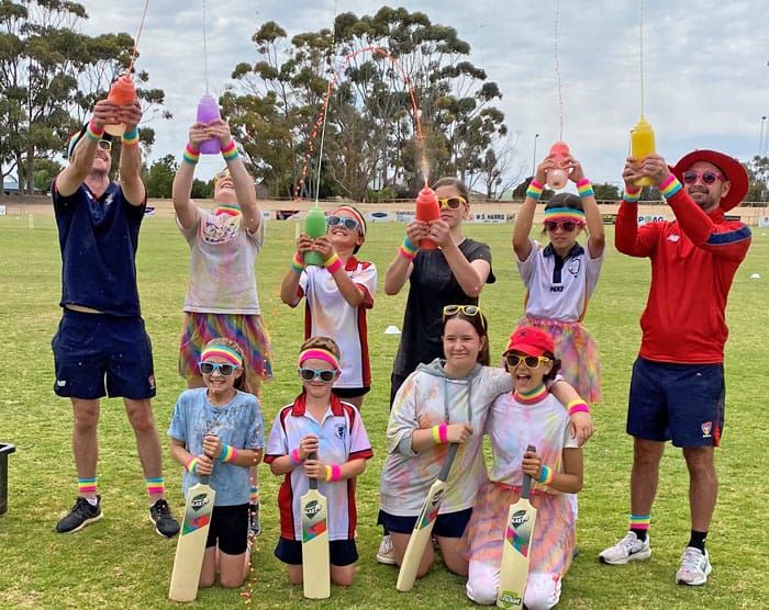 Colourful cricket on YP post image
