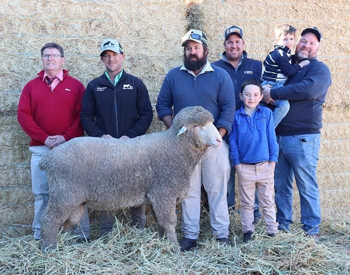 Rams to thrive in any climate post image