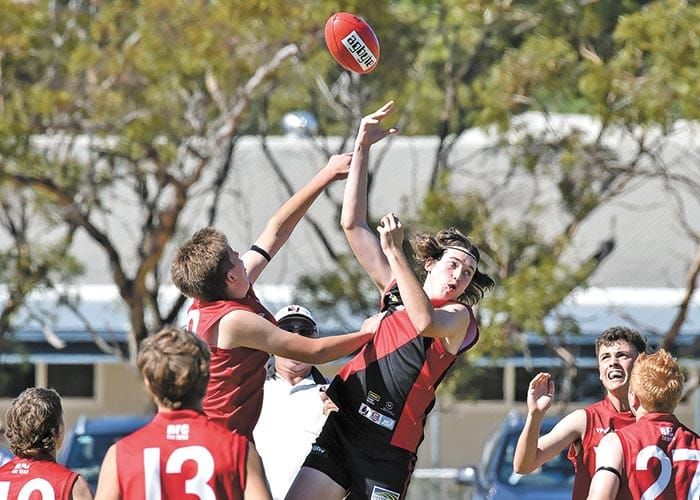 Bloods survive against impressive Roosters post image