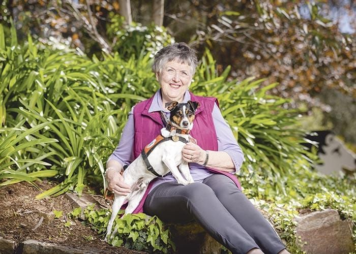 Lions help train dogs post image