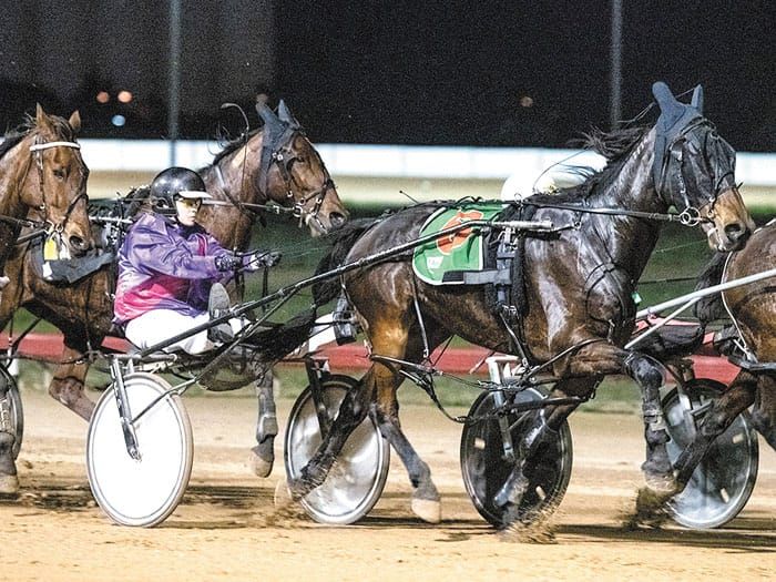Port Pirie harness racing post image