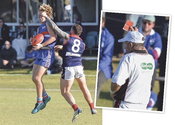 Dees destroy Dogs ahead of the break post image