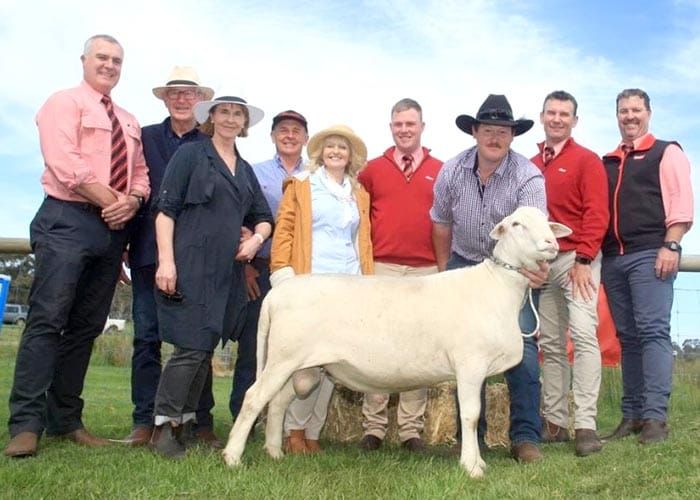 New opportunities with new breed post image