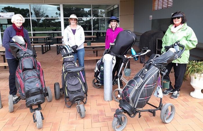Chicks with Sticks at Wallaroo GC post image