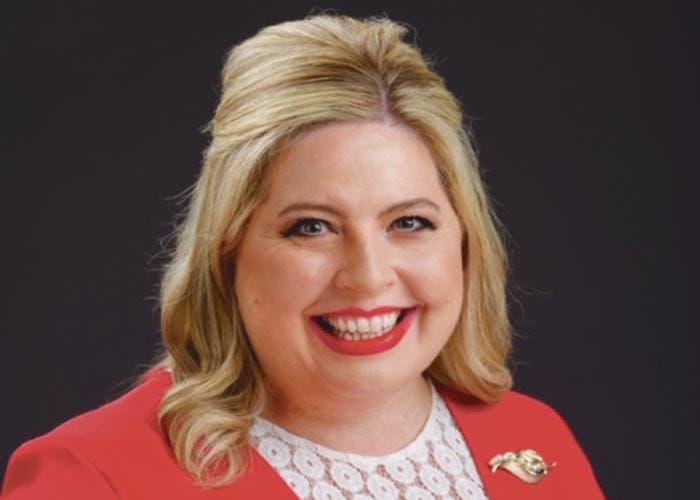 Forum to gather YP input on coercive control laws post image