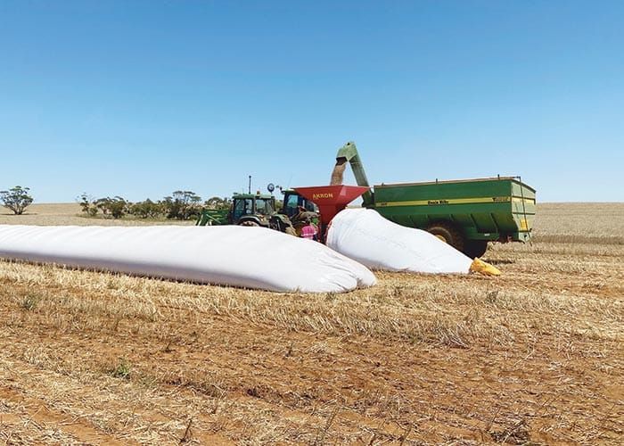 GPSA explores grain bag reuse post image