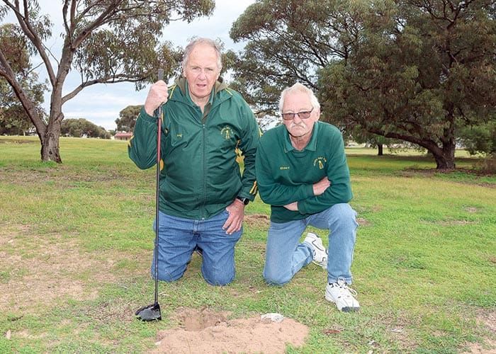Moonta metal detector madness post image