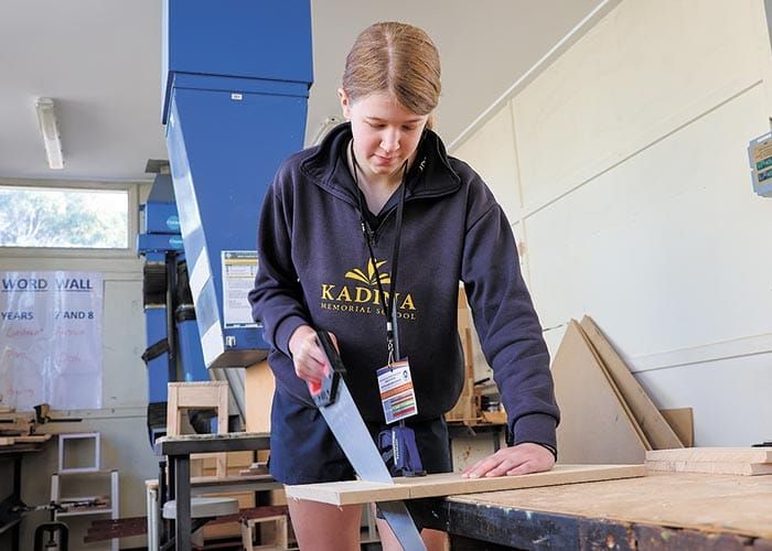 Local career opportunities on show to students post image