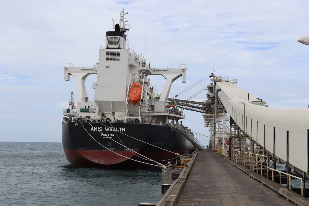 High demand for new season grain post image