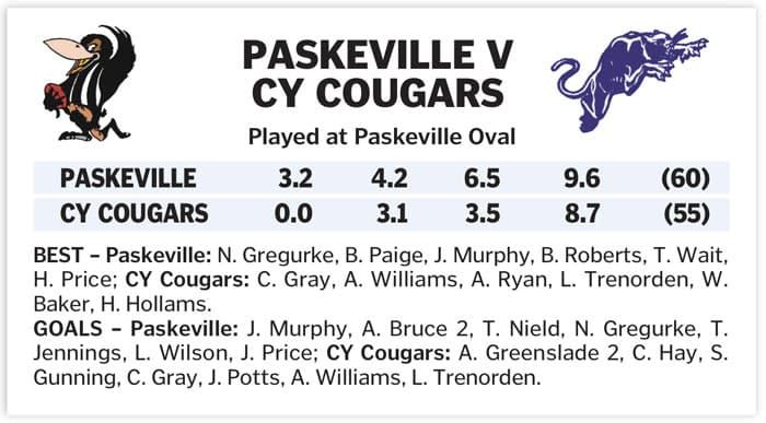 YPFL: Magpies hold on for a win post image