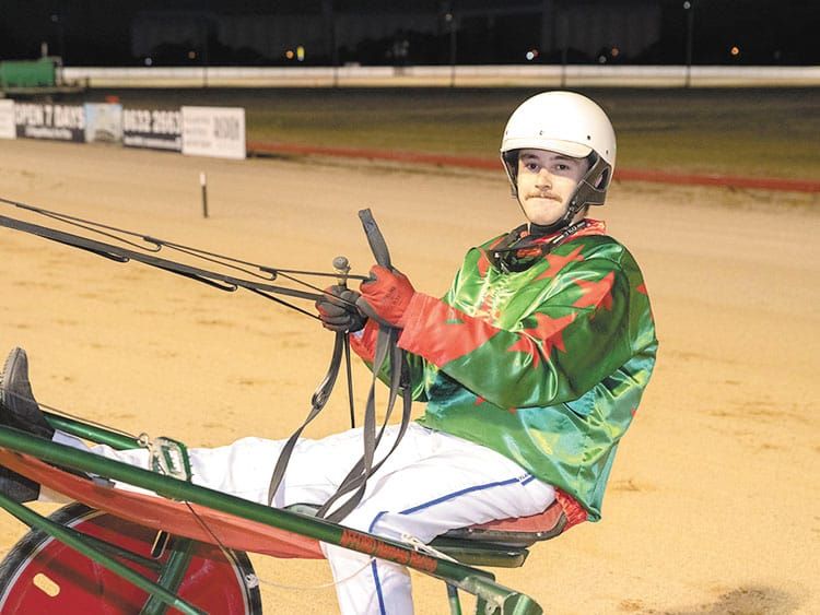 YP harness racing post image