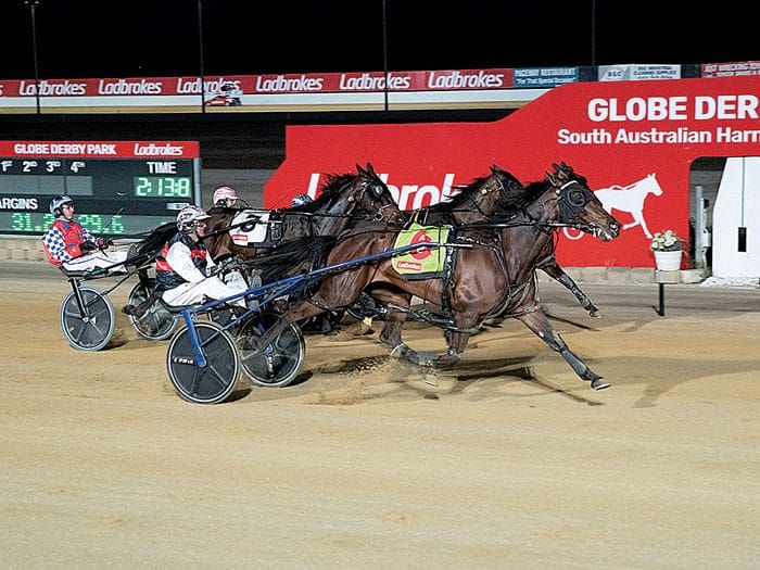 YP harness racing post image