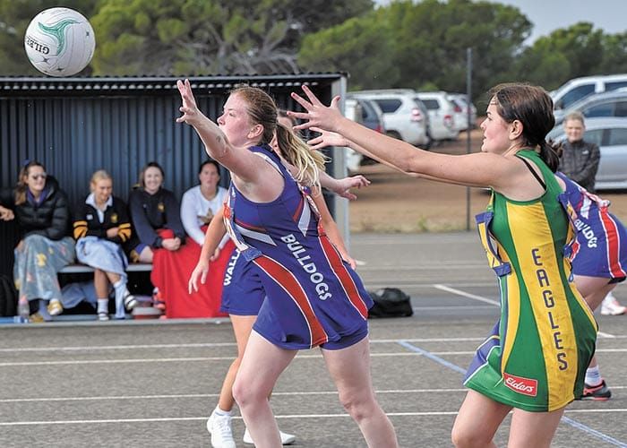 YPNA scores and reports post image