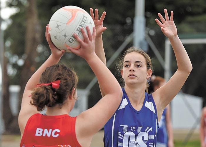 YPNA scores and reports post image
