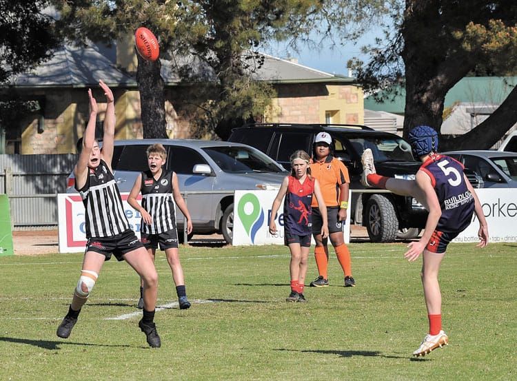 YPFL junior colts second semifinal - Moonta continues winning streak straight into final game post image