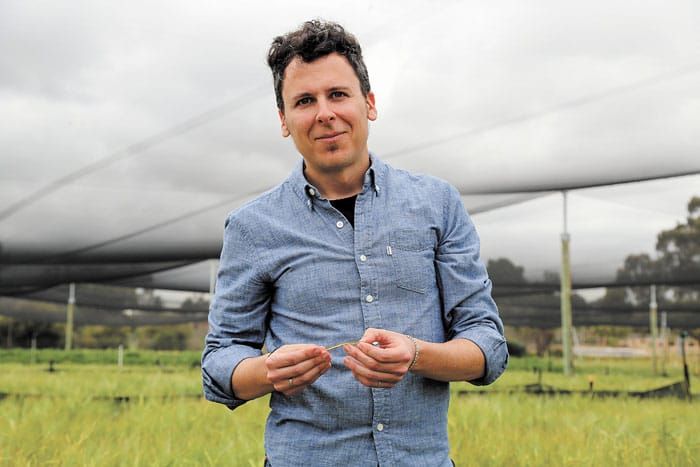 Fungicide resistance explained post image