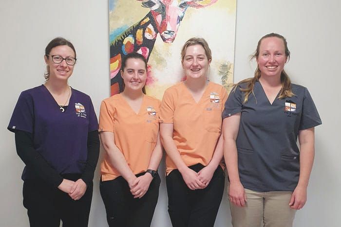 Reliable health care for your pets and livestock post image