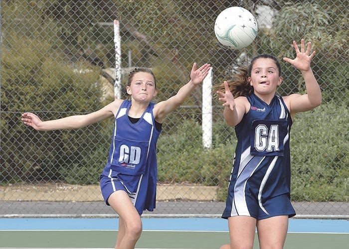 Yorke Peninsula scores and reports post image