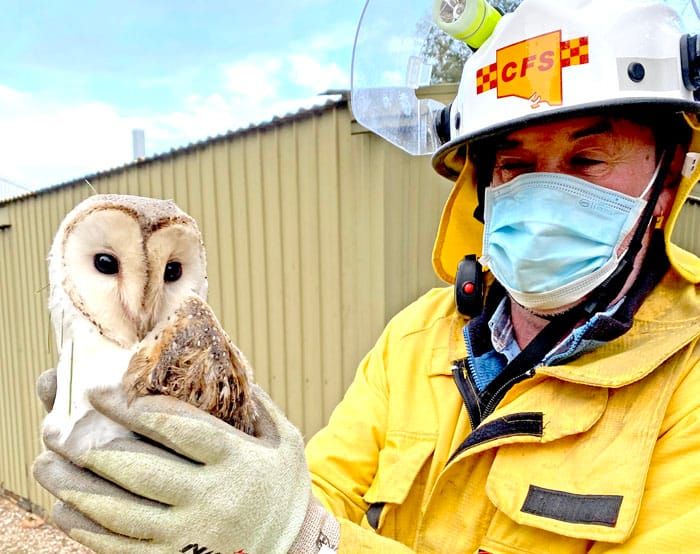 Storms bring widespread carnage post image