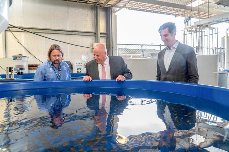 Flexibility for SA seafood businesses post image