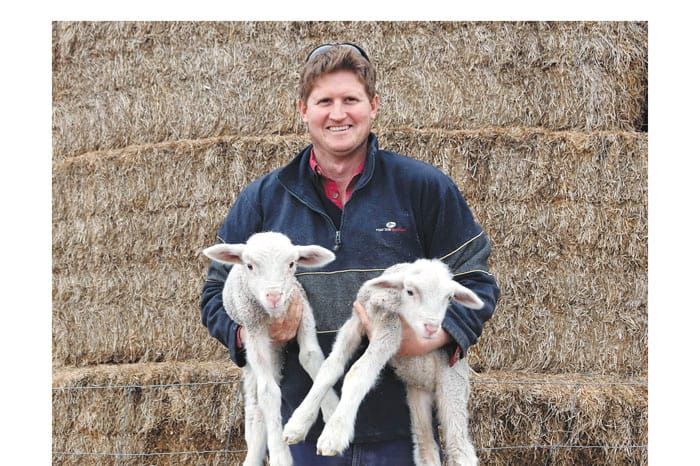 Eagle slayer myth hard to kill off post image