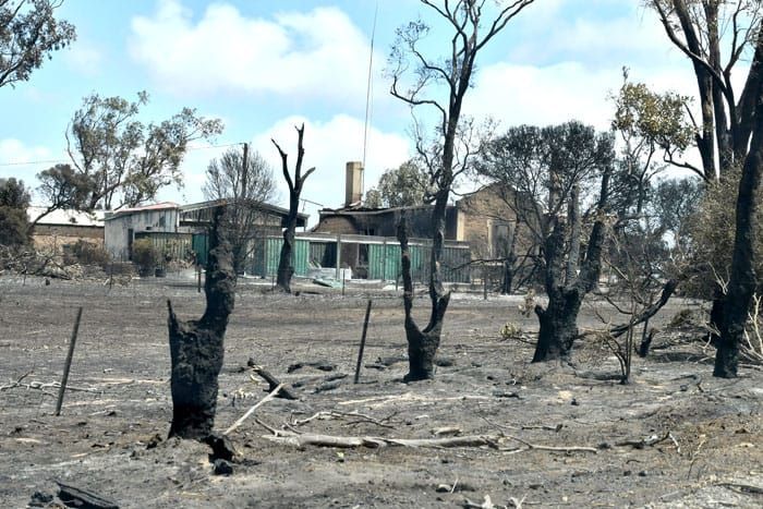 Bushfire victims compensated post image