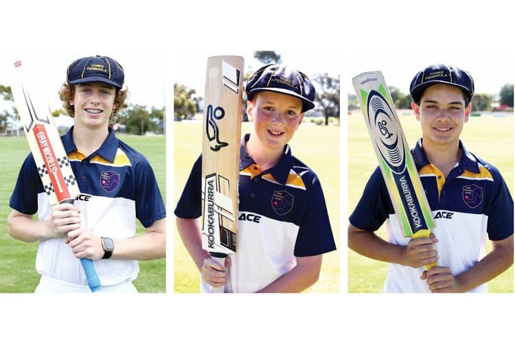 Cricket: YP players named in Teams of the Championships post image