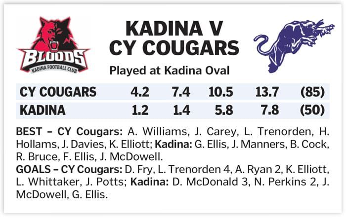 YPFL: Cougars clinch game in first half post image